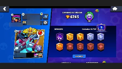 Conta De Brawl Stars Com Muitos Recursos E Barato
