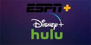 + de 30 contas disney para revender funciona mais 6 meses - Assinaturas e Premium