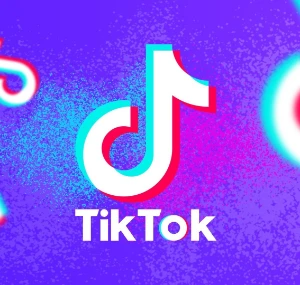 1000 Seguidores TikTok - Entrega em 30 MINUTOS - Redes Sociais