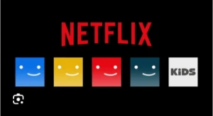 Tela Netflix privada - Assinaturas e Premium