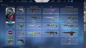 Contas Nfa  Valorant Com Skin