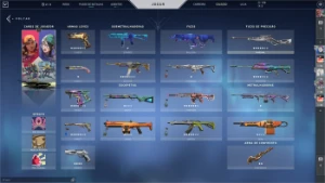 Contas Nfa  Valorant Com Skin