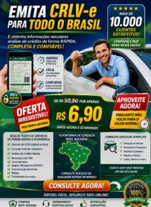 Receba até R$350 oferecendo serviço de despachante online!