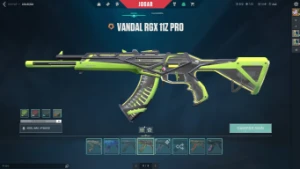 Conta Valorant - Muitas Skins - Valor Top