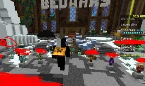 Minecraft Full Acesso Founders + 8 capas