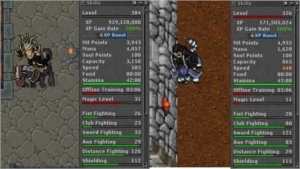 RP E EK TOP SKILLS NPVP NA MESMA CONTA - Tibia
