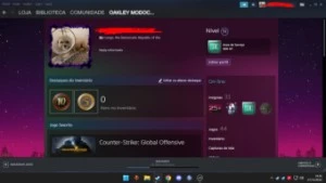 Conta steam 18 anos lvl 51