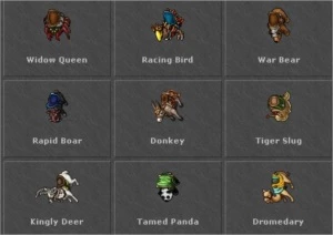 Ms 140+ Lutabra - Retro Warrior/ Makers na acc - Tibia