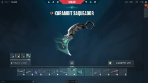Conta Valorant Asc 1 Com Skins (Mmr Alto)