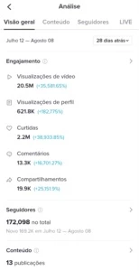 CONTA TIKTOK COM MAIS DE 170K SEGUIDORES - Redes Sociais