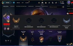 Conta LOL Ouro 4, 166 Skins Level 564, Prestigios Borda etc - League of Legends