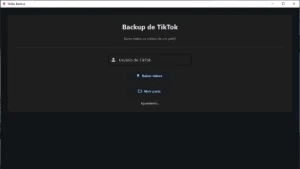 Download Em Massa De Vídeos Do Tiktok