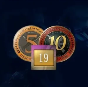 Steam 18-19 anos medalhas 5 10 anos