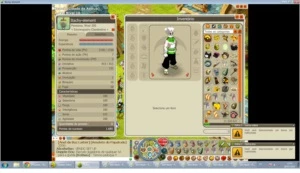 conta panda lv 200 com set - Dofus