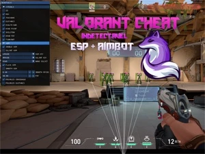 Valorant ESP + AIMBOT - INDETECTAVEL - NOV/2022