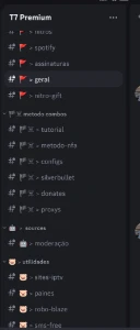 Acesso a um servidor Premium | Faça dinheiro com o discord!