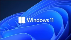 Windows 11 - Softwares e Licenças