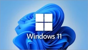 Windows 11 - Softwares e Licenças