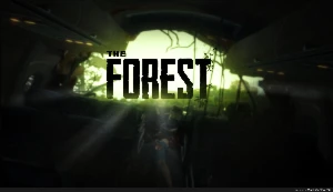 The forest: steam
