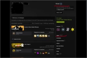 conta steam e cs MAIN LVL 55 +100jogos - Counter Strike