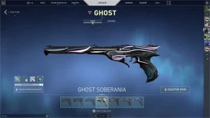 Conta de valorant com muitas skins