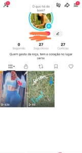 TikTok aquecido - Redes Sociais