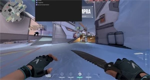 Cheat Valorant com esp, rage bot, triggerbot e skinchanger