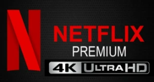 Conta Netflix  (privado) - Assinaturas e Premium
