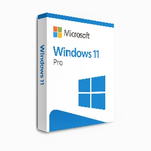 Windows 11 Pro
