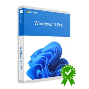 Windows 11 Pro
