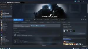 Vendo Conta Steam Com 3 anos de serviço - Call of Duty COD
