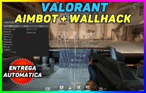 Valorant(Esp/Aimbot/TriggerBot/NoRecoil) Vitalício