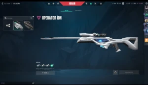 Conta valorant com skins! LVL 493