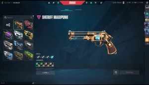 Conta valorant com skins! LVL 493