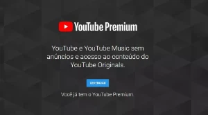 YouTube Premium6 acessos  30 Dias - Redes Sociais