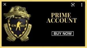 Conta Prime CS GO todas as patentes - Counter Strike