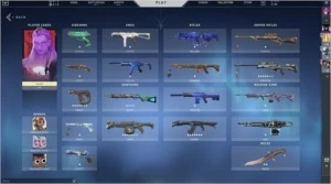 VALORANT CONTA 1.1K INVESTIDO