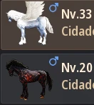 Conta Black Desert