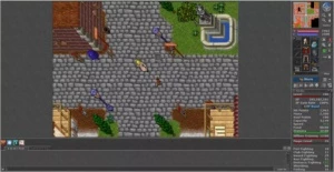 Royal Paladin Level 186 Distance 101 Optional Pvp - Tibia
