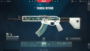 Conta Valorant Platina 2, com diversas skins