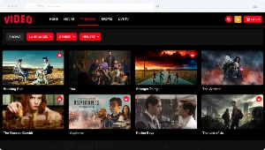 Video Streaming (TV Shows, Movies, Sports, Videos, TV) - Outros