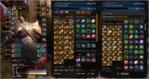 CONTA NEW WORLD LV60  FULL LENDARIO P VARIAS CLASSES  GS608