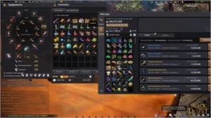 black desert BRUXA 62