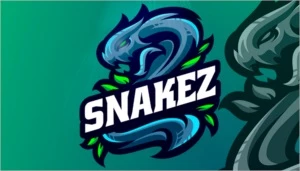 Eu vou Fazer sua logo e/ou Social media E-sport. - Outros