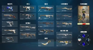 Conta valorant ex proplayer