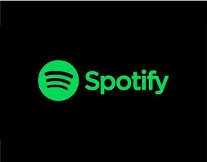 Spotify 1 mês premium - Assinaturas e Premium