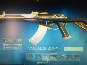 Conta platina com diversas skins 900 reais gastos - Valorant