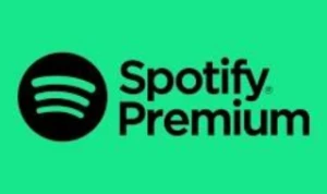 Spotify premium 1 mês - Assinaturas e Premium