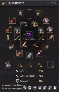 Black Desert full tet