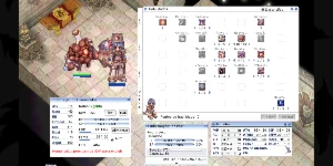 SOMENTE A CONTA SEM ITENS - Ragnarok Online